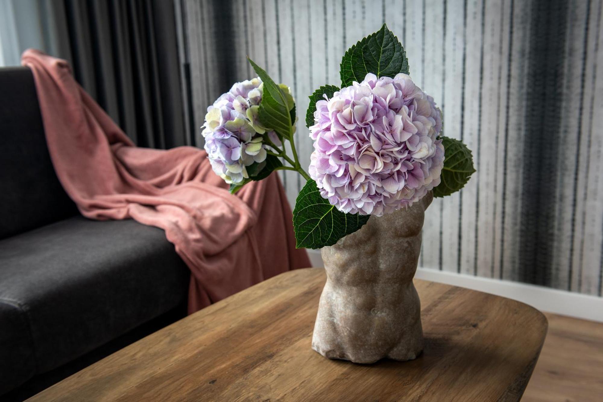 Inpoint Spacious Apartments Near Main Square & Kazimierz District Krakow Phòng bức ảnh